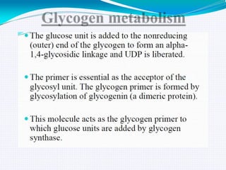 GLYCOGEN METABOLISM