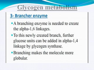 GLYCOGEN METABOLISM