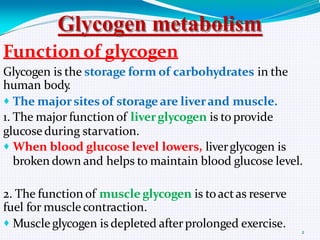 Glycogen metabolism
Function of glycogen
Glycogen is the storage form of carbohydrates in the
human body
.
 The major sites of storage are liver and muscle.
1. The major function of liver glycogen is to provide
glucose during starvation.
 When blood glucose level lowers, liver glycogen is
broken down and helps to maintain blood glucose level.

2. The function of muscle glycogen is to act as reserve
fuel for muscle contraction.
 Muscle glycogen is depleted after prolonged exercise.

2

 