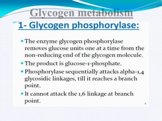 GLYCOGEN METABOLISM
