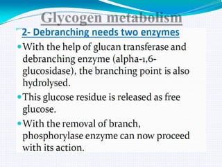 GLYCOGEN METABOLISM