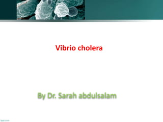 By Dr. Sarah abdulsalam
Vibrio cholera
 