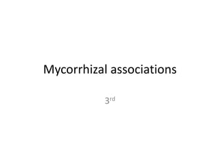 Mycorrhizal associations
3rd
 