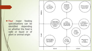  Four major feeding
specializations can be
identified depending
on whether the food is
solid or liquid or of
plant or animal origin
 