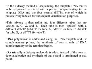 •In the dideoxy method of sequencing, the template DNA that is
to be sequenced is mixed with a primer complementary to the
template DNA and the four normal dNTPs, one of which is
radioactively labeled for subsequent visualization purposes.
•This mixture is then splint into four different tubes that are
labeled A, C, G, and T. Each tube is then “spiked” with a
different ddNTP (ddATP for tube A, ddCTP for tube C, ddGTT
for tube G, or ddTTP for tube T).
•DNA polymerase is added and using the DNA template and its’
complementary primer, the synthesis of new strands of DNA
complementary to the template begins.
•Occasionally a dideoxynucleotide is added instead of the normal
deoxynucleotide and synthesis of that strand is terminated at that
point.
 