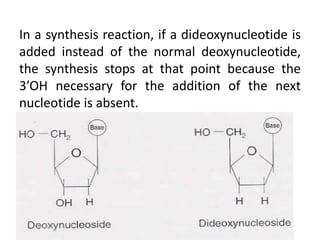 In a synthesis reaction, if a dideoxynucleotide is
added instead of the normal deoxynucleotide,
the synthesis stops at that point because the
3’OH necessary for the addition of the next
nucleotide is absent.
 