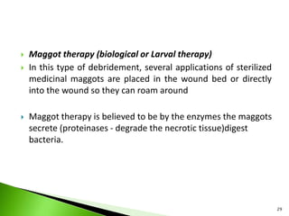  Maggot therapy (biological or Larval therapy)
 In this type of debridement, several applications of sterilized
medicinal maggots are placed in the wound bed or directly
into the wound so they can roam around
 Maggot therapy is believed to be by the enzymes the maggots
secrete (proteinases - degrade the necrotic tissue)digest
bacteria.
29
 