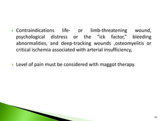  Contraindications life- or limb-threatening wound,
psychological distress or the “ick factor,” bleeding
abnormalities, and deep-tracking wounds ,osteomyelitis or
critical ischemia associated with arterial insufficiency,
 Level of pain must be considered with maggot therapy.
30
 
