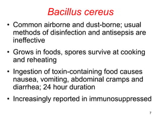 Spore Food Spore forming bacteria | PPTX