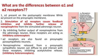 What are the differences between α1 and
α2 receptors??
1. α1 present on the postsynaptic membrane While
α2 present on the presynaptic membrane.
2. Stimulation of α2 receptors causes feedback
inhibition and inhibits further release of
norepinephrine from the stimulated adrenergic neuron.
• By inhibiting further output of norepinephrine from
the adrenergic neuron, these receptors are acting as
inhibitory autoreceptors
• α2 receptors are also found on presynaptic
parasympathetic neurons.
• Norepinephrine released from a presynaptic
sympathetic neuron can diffuse to and interact with
these receptors, inhibiting acetylcholine release.
(inhibitory heteroreceptors).
 