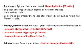 • Respiratory: Epinephrine causes powerful bronchodilation (β2 action).
• This action relieves all known allergic- or histamine-induced
bronchoconstriction.
• Epinephrine also inhibits the release of allergy mediators such as histamines
from mast cells.
• Hyperglycemia: Epinephrine has a significant hyperglycemic effect because of
• increased glycogenolysis in the liver (β2 effect)
• increased release of glucagon (β2 effect)
• decreased release of insulin (α2 effect).
• Adipose tissue: Epinephrine initiates lipolysis through (stimulate β3 ).
 