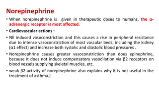 Norepinephrine
• When norepinephrine is given in therapeutic doses to humans, the α-
adrenergic receptor is most affected.
• Cardiovascular actions :
• NE induced vasoconstriction and this causes a rise in peripheral resistance
due to intense vasoconstriction of most vascular beds, including the kidney
(α1 effect) and increase both systolic and diastolic blood pressures .
• Norepinephrine causes greater vasoconstriction than does epinephrine,
because it does not induce compensatory vasodilation via β2 receptors on
blood vessels supplying skeletal muscles, etc.
• weak β2 activity of norepinephrine also explains why it is not useful in the
treatment of asthma.]
 