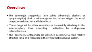 Overview:
• The adrenergic antagonists (also called adrenergic blockers or
sympatholytics) bind to adrenoceptors but do not trigger the usual
receptor-mediated intracellular effects.
• These drugs act by either reversibly or irreversibly attaching to the
adrenoceptors, thus preventing activation by endogenous
catecholamines.
• the adrenergic antagonists are classified according to their relative
affinities for α or β receptors in the sympathetic nervous system.
 