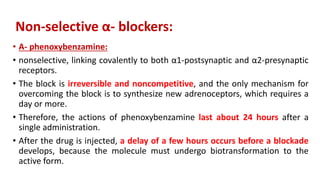 Non-selective α- blockers:
• A- phenoxybenzamine:
• nonselective, linking covalently to both α1-postsynaptic and α2-presynaptic
receptors.
• The block is irreversible and noncompetitive, and the only mechanism for
overcoming the block is to synthesize new adrenoceptors, which requires a
day or more.
• Therefore, the actions of phenoxybenzamine last about 24 hours after a
single administration.
• After the drug is injected, a delay of a few hours occurs before a blockade
develops, because the molecule must undergo biotransformation to the
active form.
 