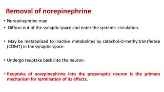Removal of norepinephrine
• Norepinephrine may
• Diffuse out of the synaptic space and enter the systemic circulation.
• May be metabolized to inactive metabolites by catechol-O-methyltransferase
(COMT) in the synaptic space.
• Undergo reuptake back into the neuron.
• Reuptake of norepinephrine into the presynaptic neuron is the primary
mechanism for termination of its effects.
 