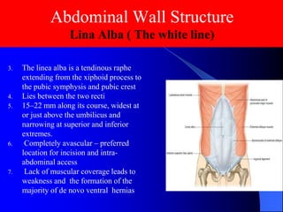 Lec_8_Anatomy Abdominal wall-15-4-25.pdf