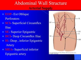 Lec_8_Anatomy Abdominal wall-15-4-25.pdf