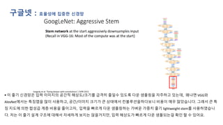 구글넷 : 효율성에 집중한 신경망
▪ 이 줄기 신경망은 입력 이미지의 공간적 해상도/크기를 급격히 줄일수 있도록 다운 샘플링을 자주하고 있는데, 왜냐면 VGG와
AlexNet에서는 특징맵을 많이 사용하고, 공간/이미지 크기가 큰 상태에서 컨볼루션을하다보니 비용이 매우 많았습니다. 그래서 큰 특
징 지도에 의한 합성곱 계층 비용을 줄이고자, 입력을 빠르게 다운 샘플링하는 가벼운 가중치 줄기 lightweight stem를 사용하였습니
다. 저는 이 줄기 설계 구조에 대해서 자세하게 보지는 않을거지만, 입력 해상도가 빠르게 다운 샘플되는걸 확인 할 수 있어요.
 