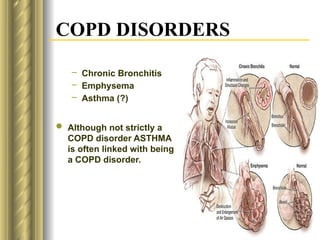 Lec 8 COPD Chronic obstructive pulmonary disease | PPTX