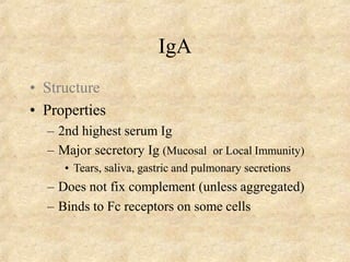 IgA
• Structure
• Properties
– 2nd highest serum Ig
– Major secretory Ig (Mucosal or Local Immunity)
• Tears, saliva, gastric and pulmonary secretions
– Does not fix complement (unless aggregated)
– Binds to Fc receptors on some cells
 