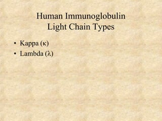 Human Immunoglobulin
Light Chain Types
• Kappa (κ)
• Lambda (λ)
 