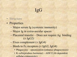 IgG
• Structure
• Properties
– Major serum Ig (systemic immunity)
– Major Ig in extravascular spaces
– Placental transfer – Does not require Ag binding
(± IgG2)
– Fixes complement (± IgG4)
– Binds to Fc receptors (± IgG2, IgG4)
• Phagocytes – opsonization (enhance phagocytosis)
• K cells(produce hormone) – ADCC(Ab dependent
cellular cytotoxicity)
 