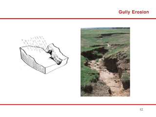 12
Gully Erosion
 