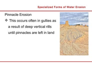 Pinnacle Erosion
 This occurs often in gullies as
a result of deep vertical rills
until pinnacles are left in land
Specialized Forms of Water Erosion
 