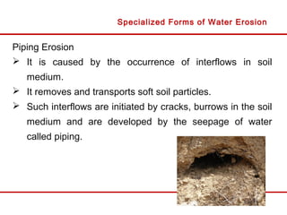 Piping Erosion
 It is caused by the occurrence of interflows in soil
medium.
 It removes and transports soft soil particles.
 Such interflows are initiated by cracks, burrows in the soil
medium and are developed by the seepage of water
called piping.
Specialized Forms of Water Erosion
 