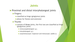 Joints
 Proximal and distal interphalangeal joints
 Fingers:
classified as hinge (ginglymus) joints
allows for flexion and extension
 Thumb:
consists of three joints, the first two are classified as hinge
(ginglymus) joints
 metacarpophalangeal: g.j.
 interphalangeal: g.j.
 carpometacarpal: trapezium and metacarpal; saddle jt.
11
 