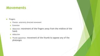 Movements
 Fingers
 Flexion: anteriorly directed movement
 Extension
 Abduction: movement of the fingers away from the midline of the
hand.
 Adduction
 Thumb opposition: movement of the thumb to oppose any of the
phalanges
13
 