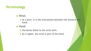 Terminology
 Wrist:
 as a joint, it is the articulation between the forearm and
hand.
 Hand:
 the bones distal to the wrist joint.
 As a region, the wrist is part of the hand.
3
 