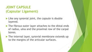 JOINT CAPSULE
(Capsular Ligament)
 Like any synovial joint, the capsule is double
layered.
 The fibrous outer layer attaches to the distal ends
of radius, ulna and the proximal row of the carpal
bones.
 The internal layer, synovial membrane extends up
to the margins of the articular surfaces.
33
 