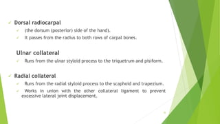  Dorsal radiocarpal
 (the dorsum (posterior) side of the hand).
 It passes from the radius to both rows of carpal bones.
Ulnar collateral
 Runs from the ulnar styloid process to the triquetrum and pisiform.
 Radial collateral
 Runs from the radial styloid process to the scaphoid and trapezium.
 Works in union with the other collateral ligament to prevent
excessive lateral joint displacement.
35
 