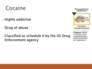 ⦁ Highly addictive
⦁ Drug of abuse
⦁ Classified as schedule II by the US Drug
Enforcement agency
 
