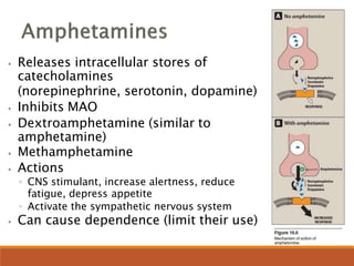 ⦁ Releases intracellular stores of
catecholamines
(norepinephrine, serotonin, dopamine)
⦁ Inhibits MAO
⦁ Dextroamphetamine (similar to
amphetamine)
⦁ Methamphetamine
⦁ Actions
◦ CNS stimulant, increase alertness, reduce
fatigue, depress appetite
◦ Activate the sympathetic nervous system
⦁ Can cause dependence (limit their use)
 