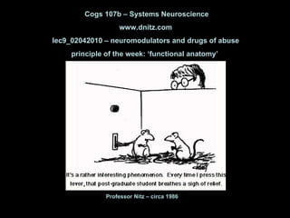 Professor Nitz – circa 1986 Cogs 107b – Systems Neuroscience www.dnitz.com lec9_02042010 – neuromodulators and drugs of abuse principle of the week: ‘functional anatomy’  