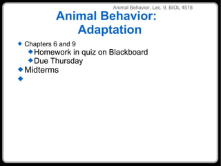 Animal Behavior:  Adaptation ANIMALEHAVIOR LEC 3 ANIMAL BE ANIM Animal Behavior, Lec. 9, BIOL 4518 ,[object Object],[object Object],[object Object],[object Object]