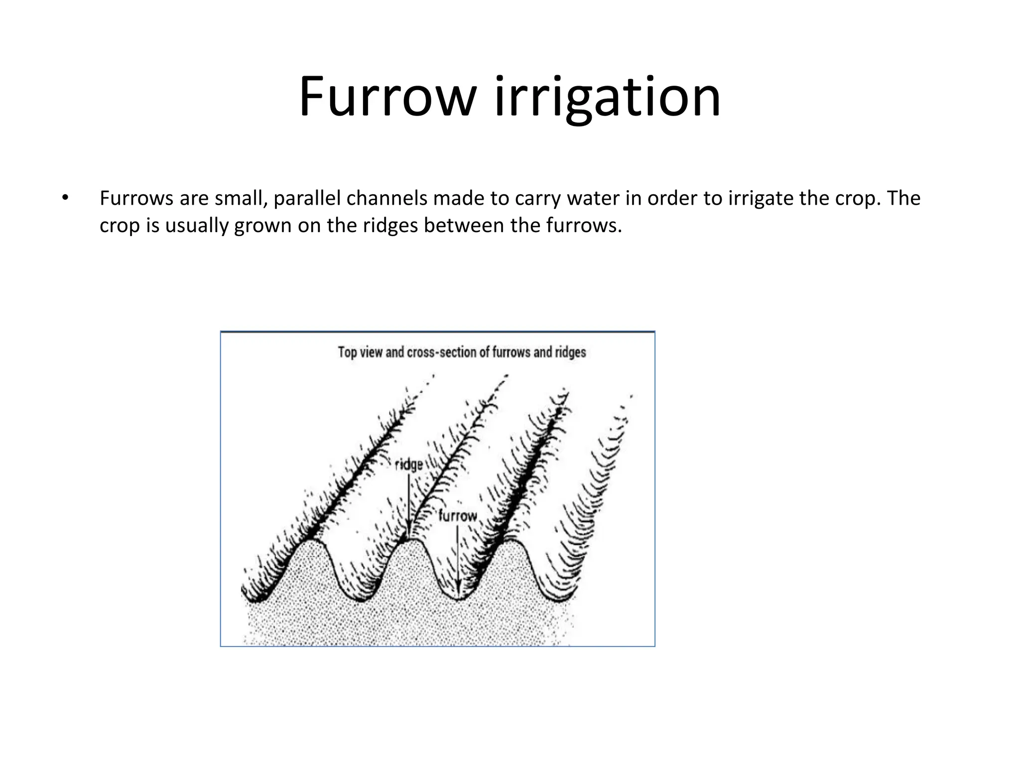 Furrow irrigation
• Furrows are small, parallel channels made to carry water in order to irrigate the crop. The
crop is usually grown on the ridges between the furrows.
 