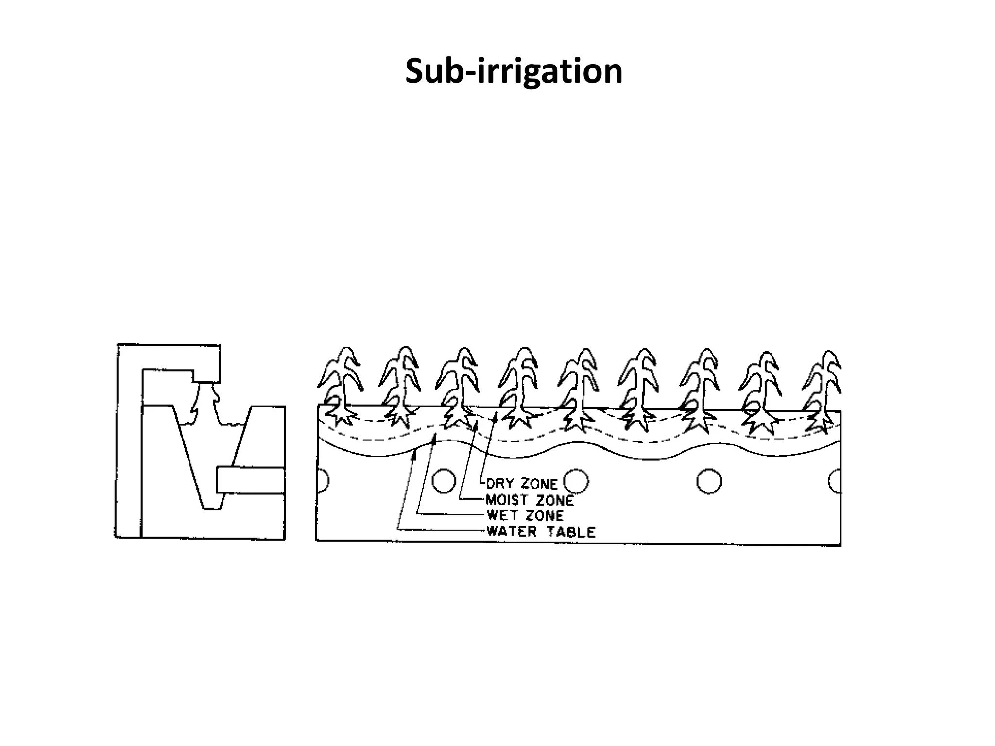 Sub-irrigation
 
