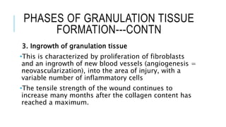 PHASES OF GRANULATION TISSUE
FORMATION---CONTN
3. Ingrowth of granulation tissue
•This is characterized by proliferation of fibroblasts
and an ingrowth of new blood vessels (angiogenesis =
neovascularization), into the area of injury, with a
variable number of inflammatory cells
•The tensile strength of the wound continues to
increase many months after the collagen content has
reached a maximum.
 