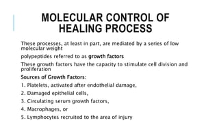 MOLECULAR CONTROL OF
HEALING PROCESS
These processes, at least in part, are mediated by a series of low
molecular weight
polypeptides referred to as growth factors
These growth factors have the capacity to stimulate cell division and
proliferation
Sources of Growth Factors:
1. Platelets, activated after endothelial damage,
2. Damaged epithelial cells,
3. Circulating serum growth factors,
4. Macrophages, or
5. Lymphocytes recruited to the area of injury
 