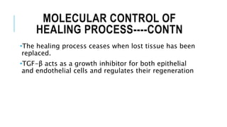 MOLECULAR CONTROL OF
HEALING PROCESS----CONTN
•The healing process ceases when lost tissue has been
replaced.
•TGF-β acts as a growth inhibitor for both epithelial
and endothelial cells and regulates their regeneration
 