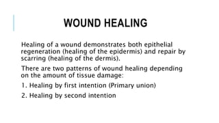 WOUND HEALING
Healing of a wound demonstrates both epithelial
regeneration (healing of the epidermis) and repair by
scarring (healing of the dermis).
There are two patterns of wound healing depending
on the amount of tissue damage:
1. Healing by first intention (Primary union)
2. Healing by second intention
 