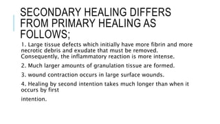 SECONDARY HEALING DIFFERS
FROM PRIMARY HEALING AS
FOLLOWS;
1. Large tissue defects which initially have more fibrin and more
necrotic debris and exudate that must be removed.
Consequently, the inflammatory reaction is more intense.
2. Much larger amounts of granulation tissue are formed.
3. wound contraction occurs in large surface wounds.
4. Healing by second intention takes much longer than when it
occurs by first
intention.
 