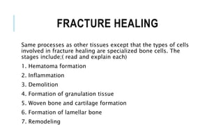 FRACTURE HEALING
Same processes as other tissues except that the types of cells
involved in fracture healing are specialized bone cells. The
stages include;( read and explain each)
1. Hematoma formation
2. Inflammation
3. Demolition
4. Formation of granulation tissue
5. Woven bone and cartilage formation
6. Formation of lamellar bone
7. Remodeling
 