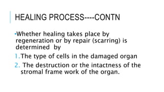 HEALING PROCESS----CONTN
•Whether healing takes place by
regeneration or by repair (scarring) is
determined by
1.The type of cells in the damaged organ
2. The destruction or the intactness of the
stromal frame work of the organ.
 