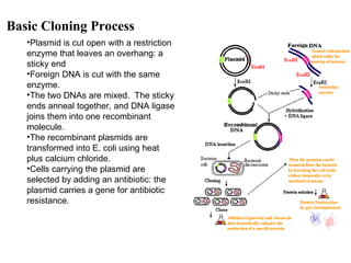 Lec 9 Recombinant DNA technology and applications.ppt