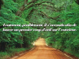 Lentement, péniblement, ils’accoudaafindeLentement, péniblement, ils’accoudaafinde
lancerunpremiercoupd’oeilsurl’extérieur...