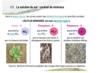 Le cah et elements nutritifs du sol